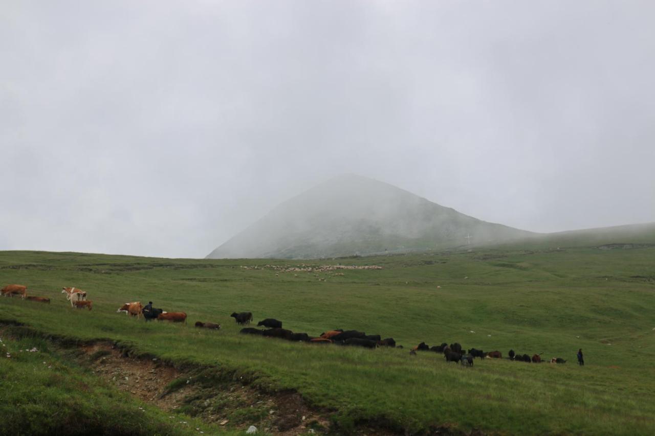 Cabana Transalpina Ranca Exteriör bild