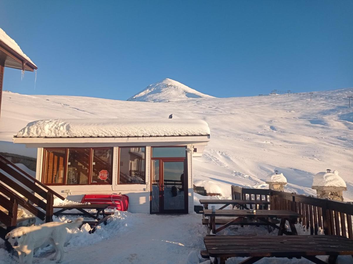 Cabana Transalpina Ranca Exteriör bild