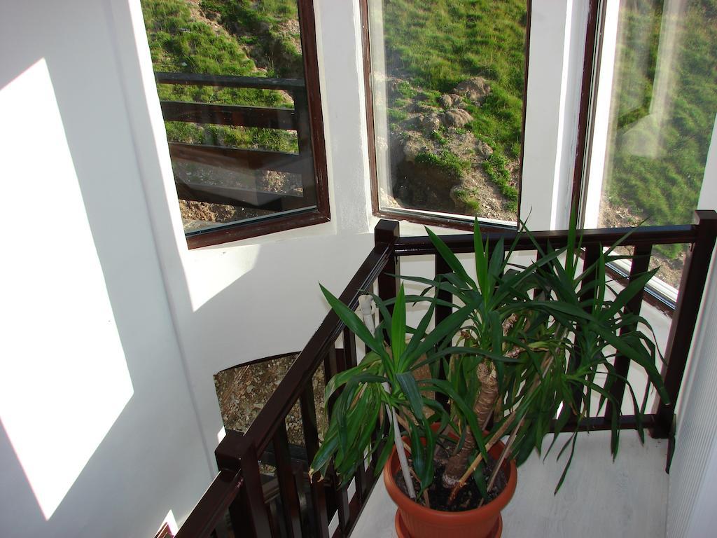 Cabana Transalpina Ranca Exteriör bild